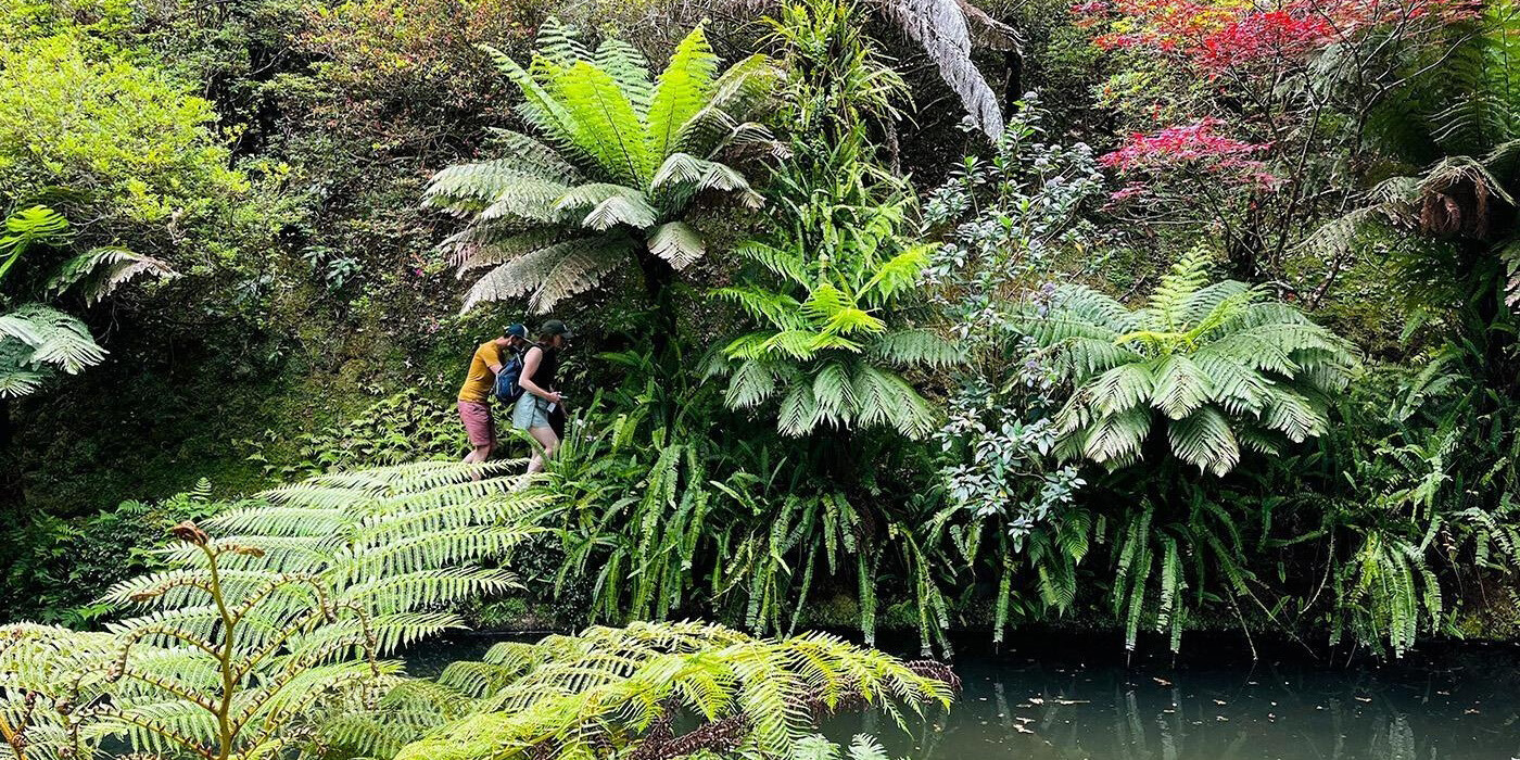 Den Botaniske Have Terra Nostra