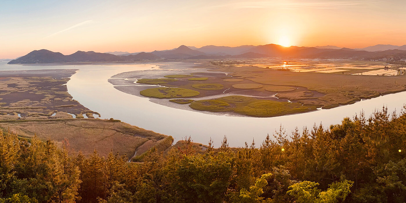 Suncheon Bay Wetland