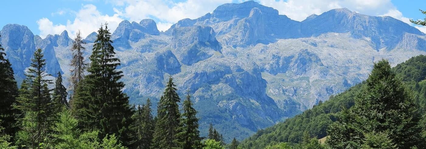 Nåleskov, bjerge og blå himmel i Albanien.