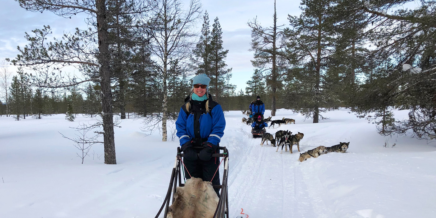 Slædehundekørsel i sneklædt skov.