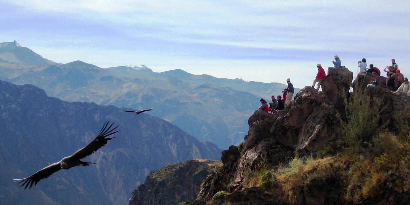 Gruppe af vandrere på bjergtop observerer to kondorer flyve forbi. 