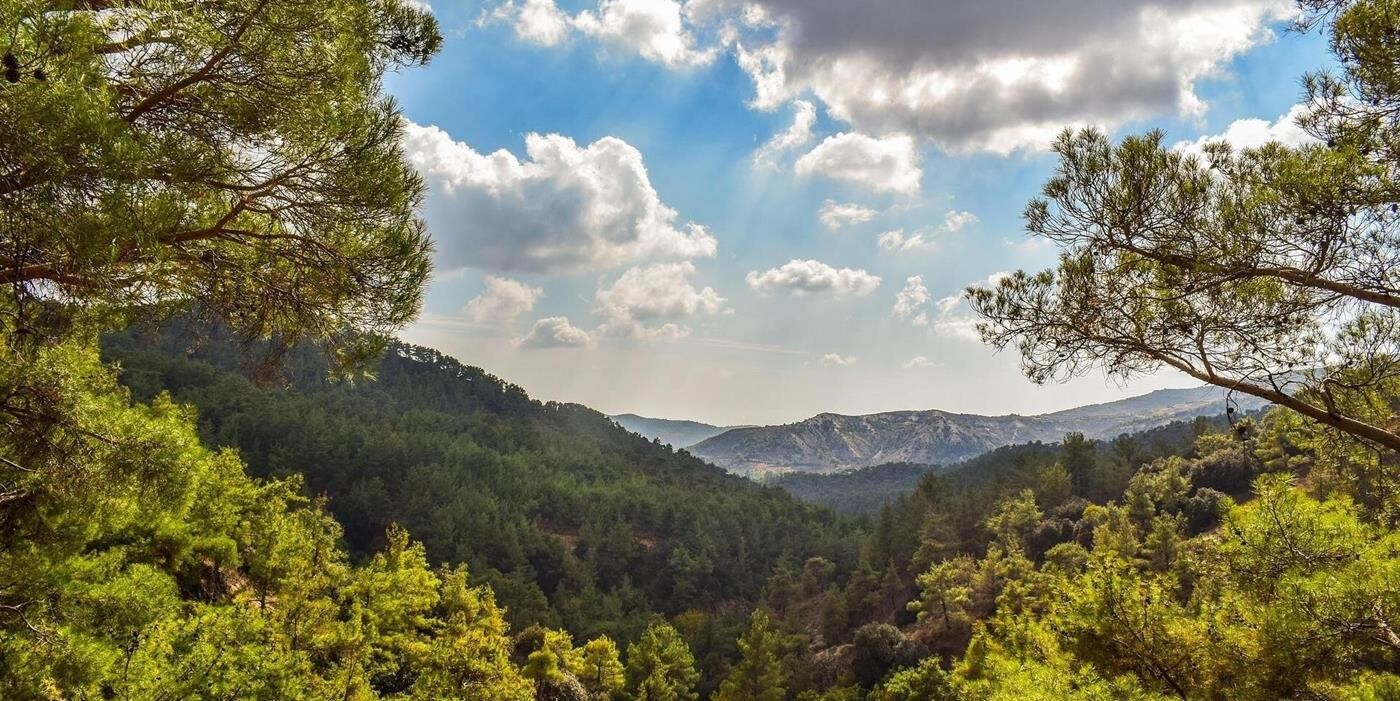 På en rejse til Cypern kan du opleve denne udsigt i Troodos. 