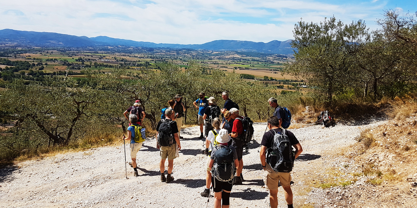 Gruppe af vandrere står samlet på sti, med udsigt over olivenlunde i Toscana.