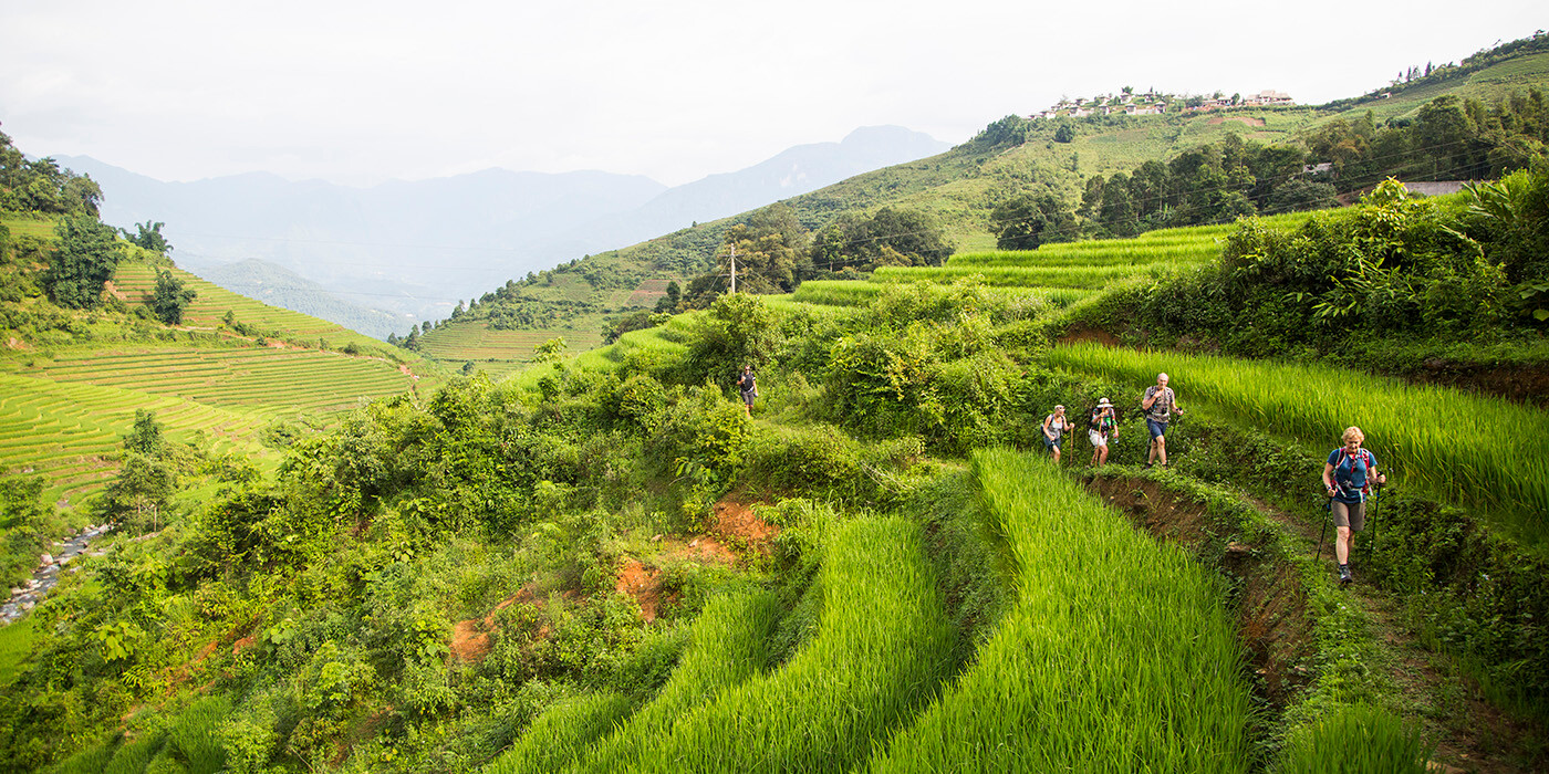 Vandring blandt rismarkerne i Sapa