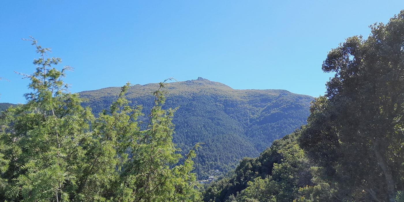 Monte san pedrone
