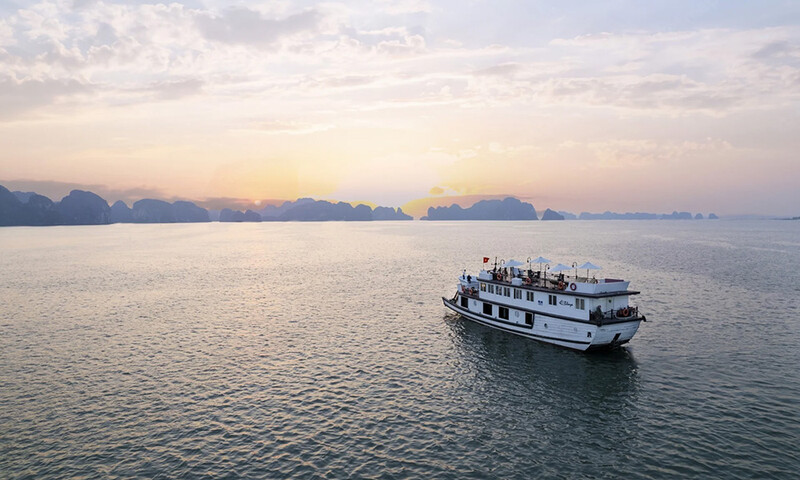 Bhaya Cruise