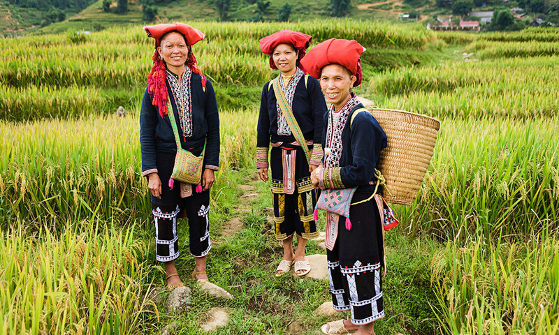 Minoriteterne i Vietnam