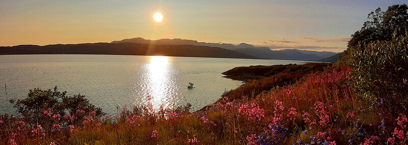 Sydgrønland i rødbrune farver