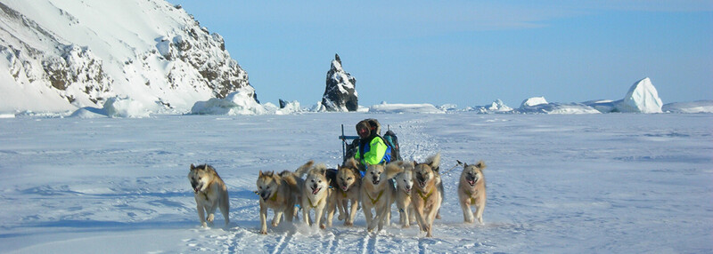 Hundeslæde i Grønland