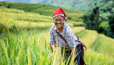 Red Dao i Sapa