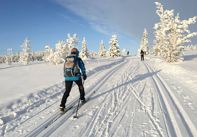Langrend i Norge