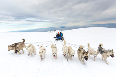 Hundeslæde på Diskoøen