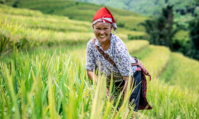 Lokale minoriteter i Sapa