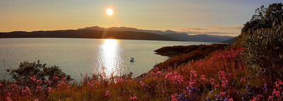 Sydgrønland i rødbrune farver
