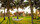 Pandanus Resort