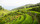 Vandring i Sapa