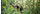 Junglevandring