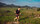 Løber til Vietnam Ultra Marathon