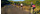 Tur til Moon Garden