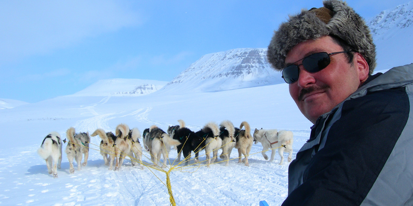 are greenland dogs good sled dogs