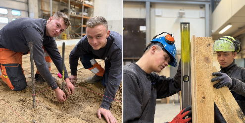 Skills_struktorer_regionsmesterskaber