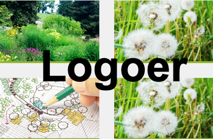 test_logo