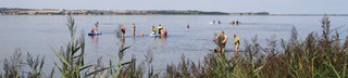 Topbilled limfjorden-bade-paddleboard 2021