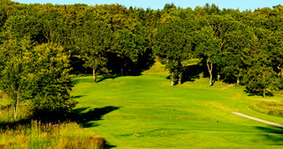 golf ørnhøj med træer