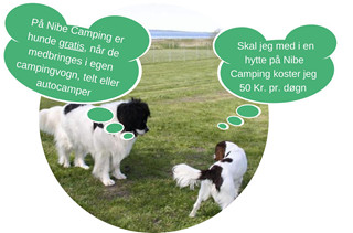 hunde gratis