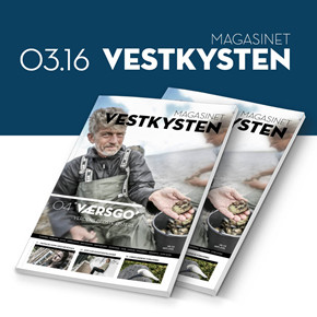 155_vestkysten.nu___sidebar___KLIK_11