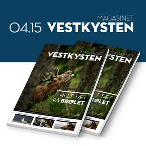 155_vestkysten.nu___sidebar___KLIK_14