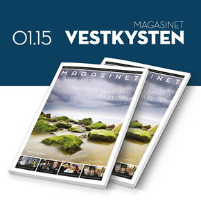 155_vestkysten.nu___sidebar___KLIK_17