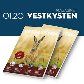 155_vestkysten.nu___sidebar___KLIK_22