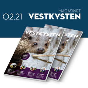 155_vestkysten.nu___sidebar___KLIK_25