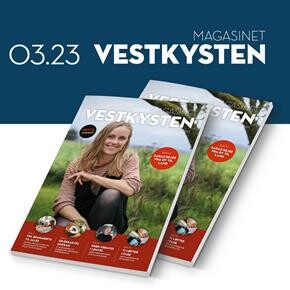 155_vestkysten.nu___sidebar___KLIK_31