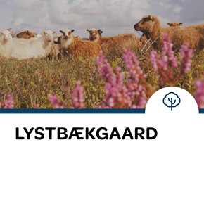 155_vestkysten.nu___sidebar___Lystb__kgaard