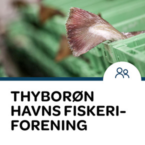 155_vestkysten.nu___sidebar___Thybor__n_Havns_Fisk