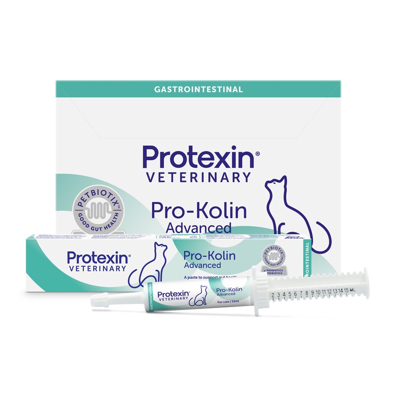 Pro-Kolin Advanced KAT 15 ml VET