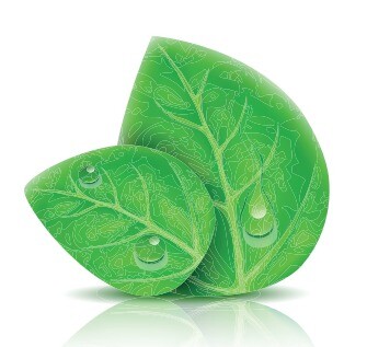 Baeredygtig_rengoring