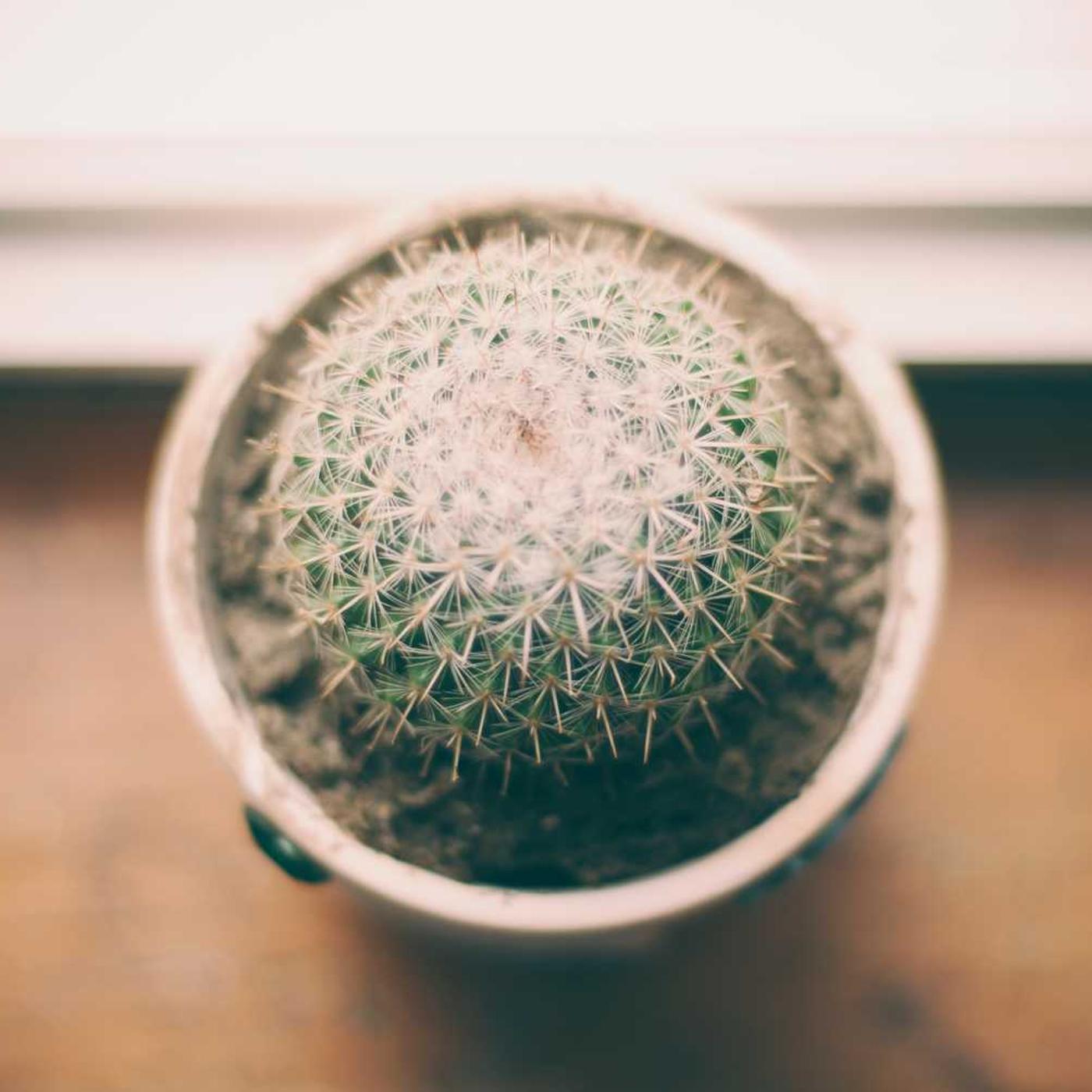 Roskilde Tekniske Skole, kursusafdelingen