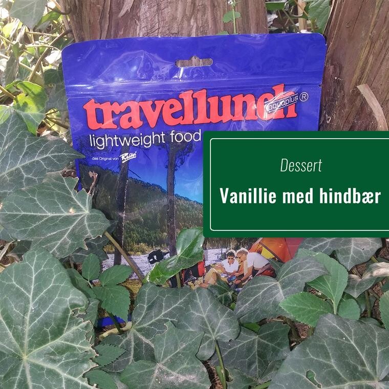 Reiter Vanillie dessert m. hindbær