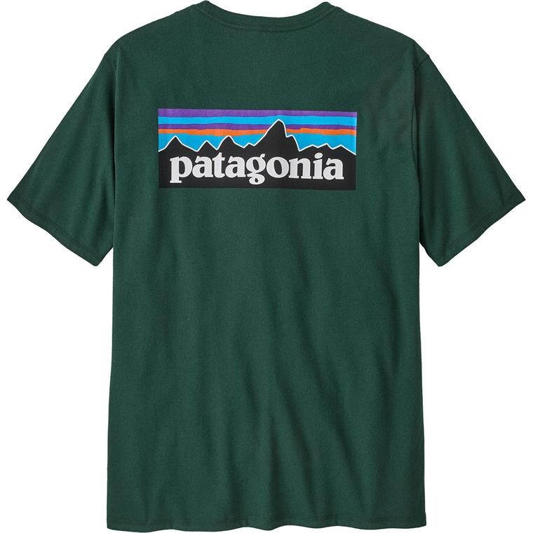 Patagonia Mens P-6 Logo Responsibili-Tee  (Grøn (CASCADE GREEN) Small)