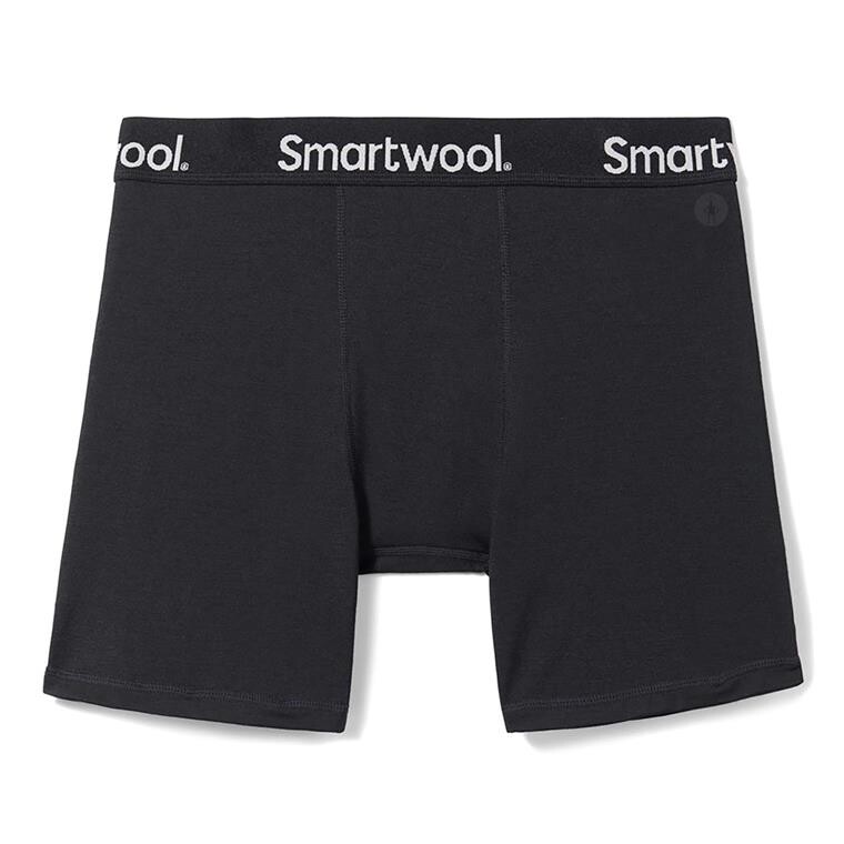 Smartwool Mens Active Boxer Brief Boxed (Sort (BLACK) Small)