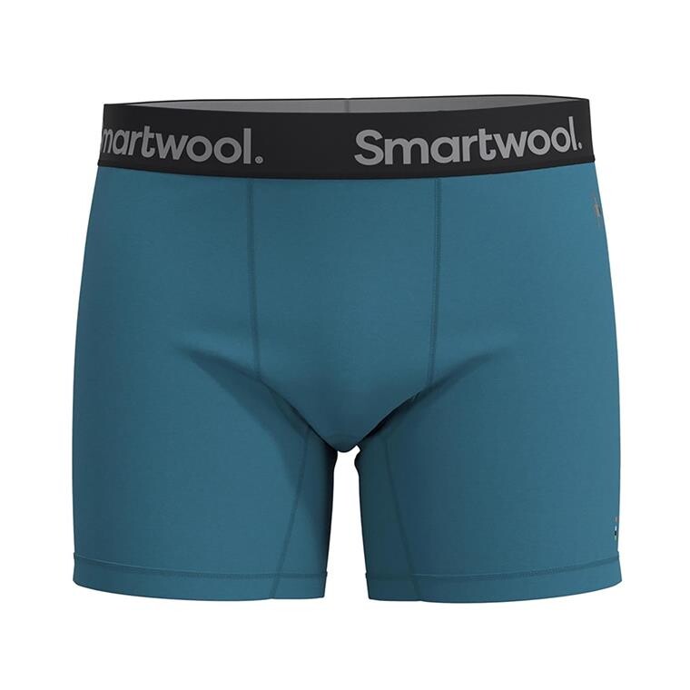 Smartwool Mens Active Boxer Brief Boxed (Blå (TWILIGHT BLUE) Small)