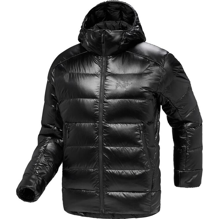 Arcteryx Mens Cerium SV Hoody (Sort (BLACK) Medium)