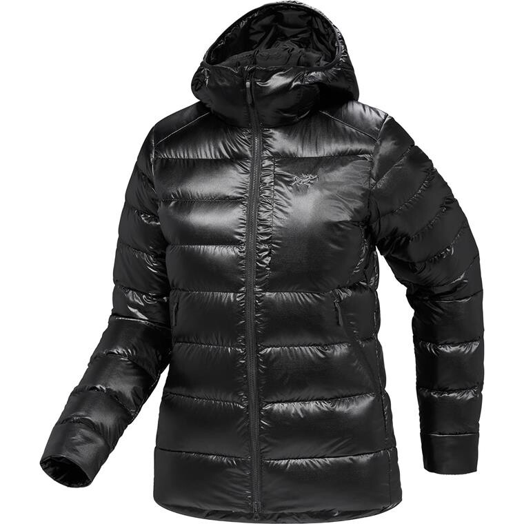 Arcteryx Womens Cerium SV Hoody (Sort (BLACK) Small)