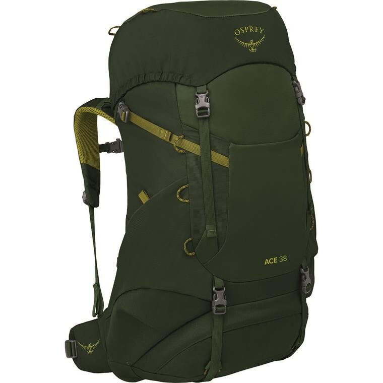 Osprey Youths Ace 38 (Grøn (GREEN CANOPY/MATCHA GREEN) One size)