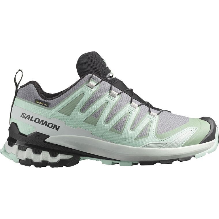 Salomon Womens XA Pro 3D V9 GTX (Grøn (QUIET SHADE/LILY PAD/BLUE HAZE) 38 2/3)
