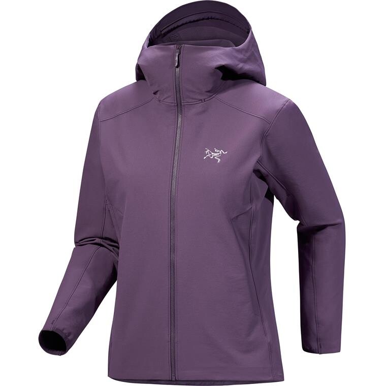 Arcteryx Womens Gamma Hoody (Sort (BLACK) Small)