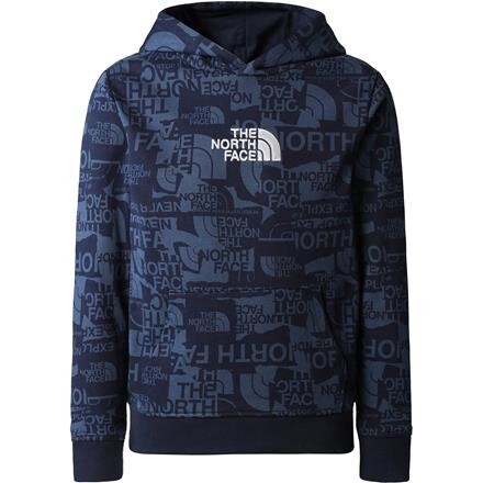 The North Face Drew Peak Hoodie Børn - Blå